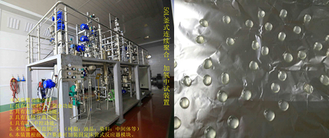 祝賀國內(nèi)首套釜式連續(xù)加氫中試成套裝置一次出料成功！.jpg